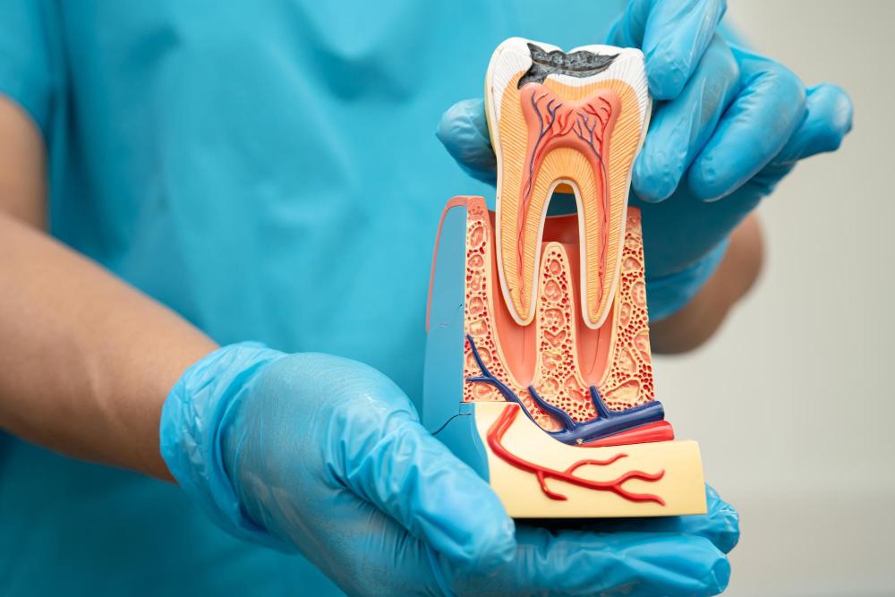 How Many Root Canal Treatments Can You Have?